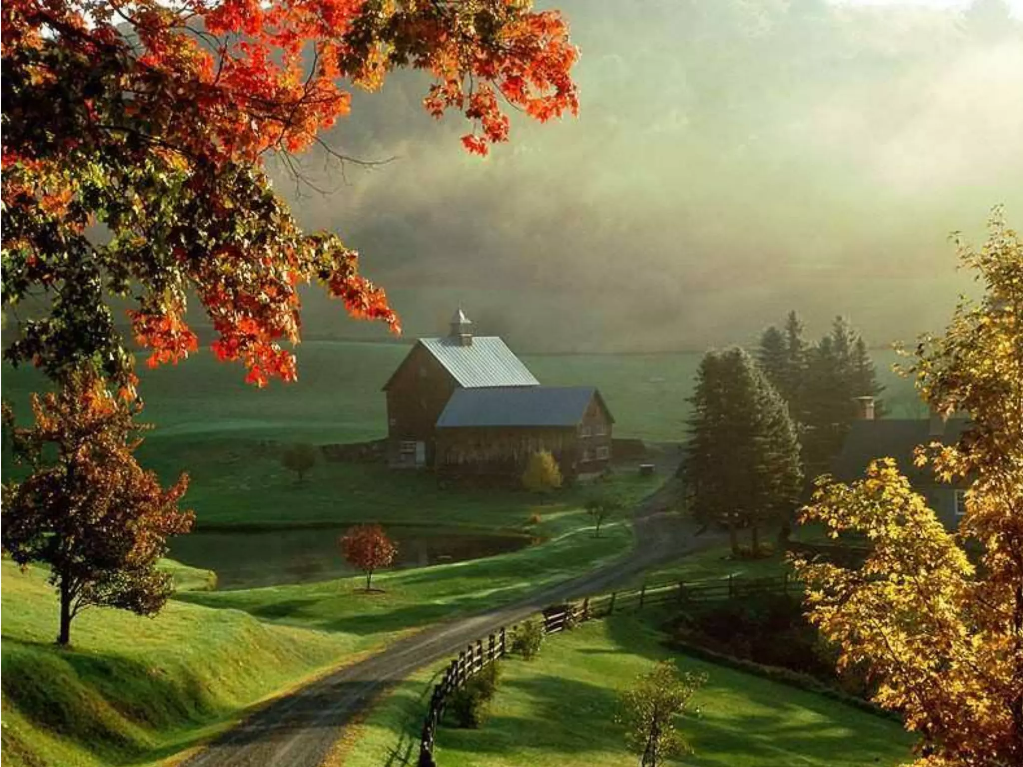 - Use thedifferentadjectivesillustratingthefeelings:     - Excited, worried, angry, nervous, embarrassed, happy, tired, disappointed, sleepy, upset, amazed.