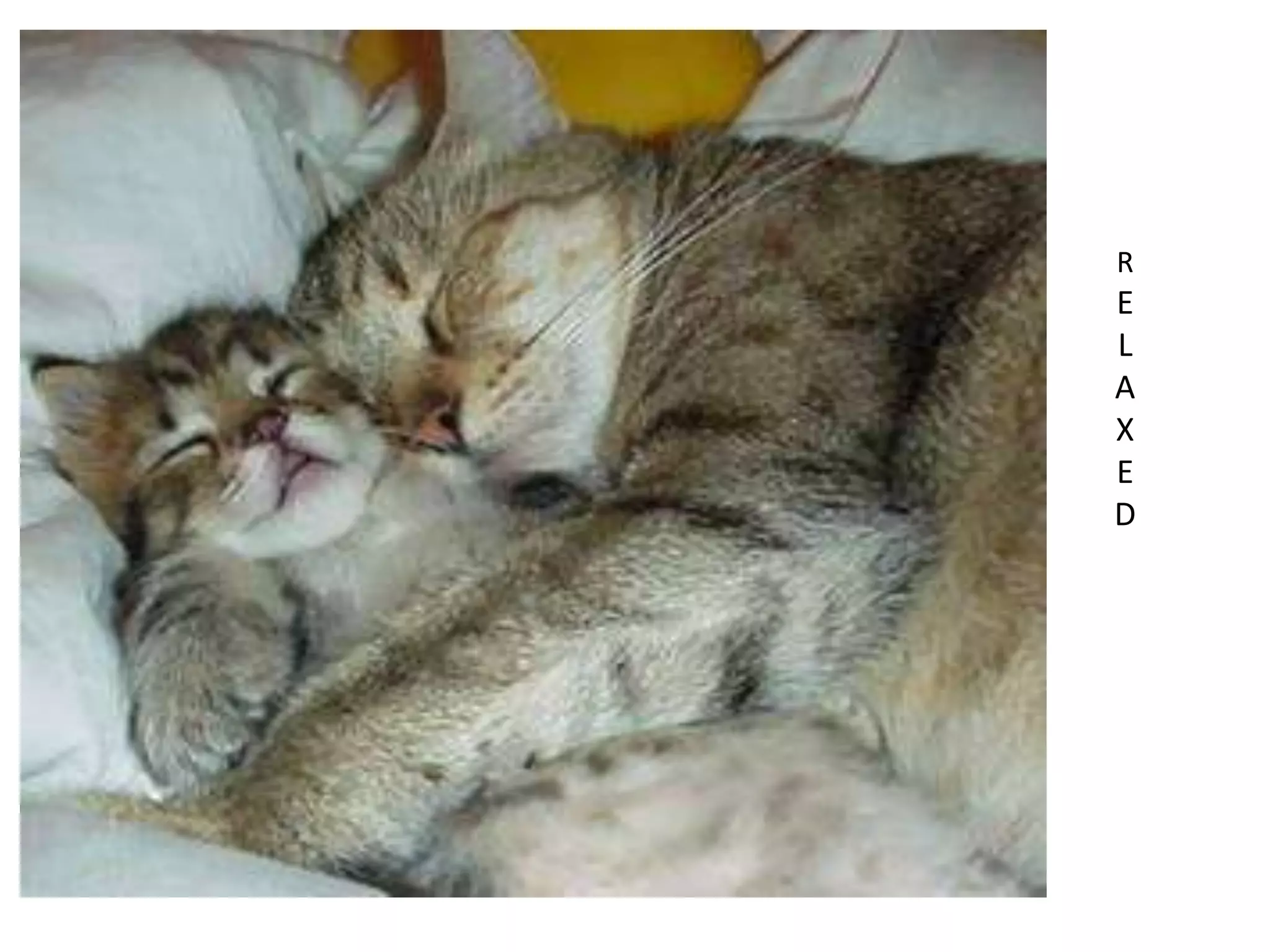 SampleLanguageStructures