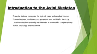 Presentation Of Anatomical Structure - Samridhi Das.pptx