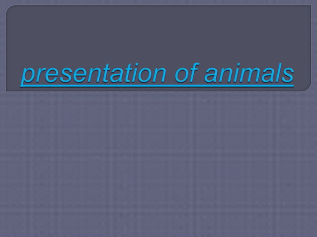 Presentation of animals | PPTX