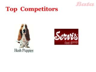 Top  Competitors 