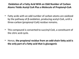 Oxidation of a Fatty Acid With an Odd Number of Carbon Atoms Yields Acetyl CoA Plus a Molecule of Propionyl-CoA Fatty acids with an odd number of carbon atoms are oxidized by the pathway of β-oxidation, producing acetyl-CoA, until a three-carbon (propionyl-CoA) residue remains.  This compound is converted to succinyl-CoA, a constituent of the citric acid cycle.  Hence,  the propionyl residue from an odd-chain fatty acid is the only part of a fatty acid that is glucogenic 