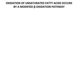 OXIDATION OF UNSATURATED FATTY ACIDS OCCURS BY A MODIFIED β-OXIDATION PATHWAY 
