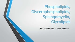 Phospholipids,
Glycerophospholipids,
Sphingomyelin,
Glycolipids
PRESENTED BY: AYESHA KABEER
 