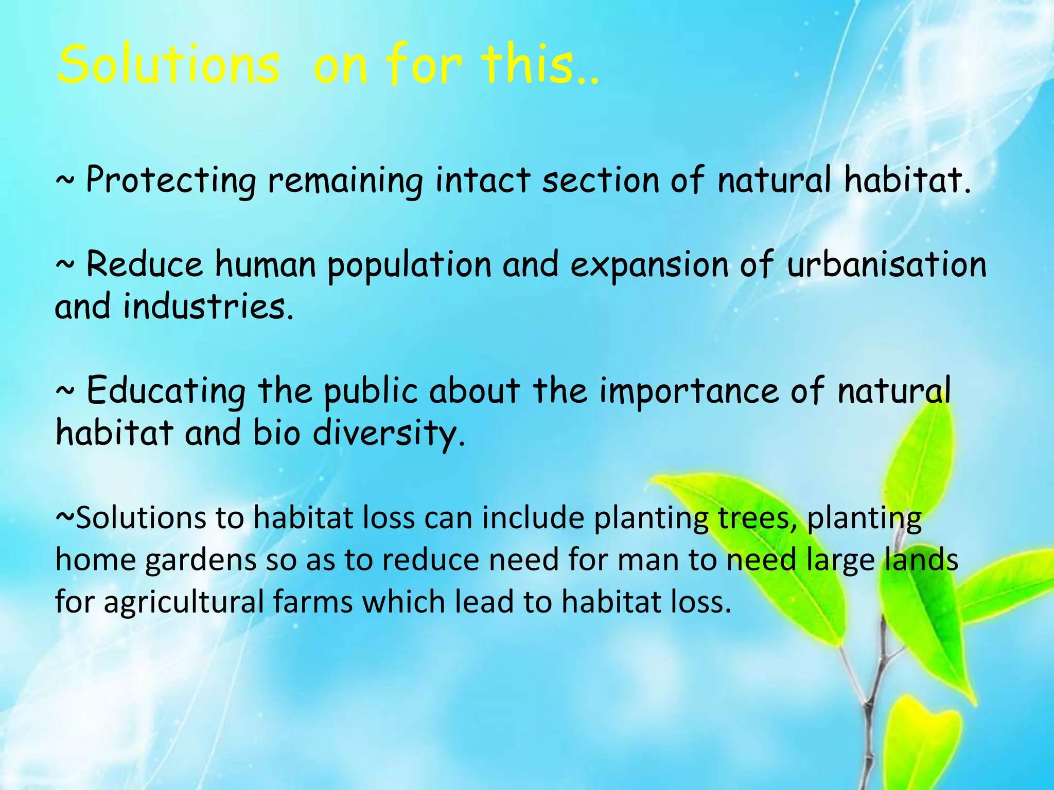 Solutions on for this..
~ Protecting remaining intact section of natural habitat.
~ Reduce human population and expansion of urbanisation
and industries.
~ Educating the public about the importance of natural
habitat and bio diversity.
~Solutions to habitat loss can include planting trees, planting
home gardens so as to reduce need for man to need large lands
for agricultural farms which lead to habitat loss.
 