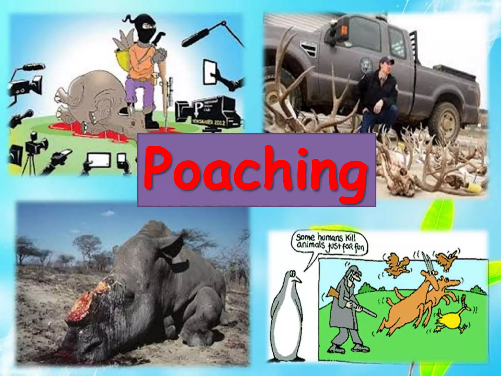 Poaching
 
