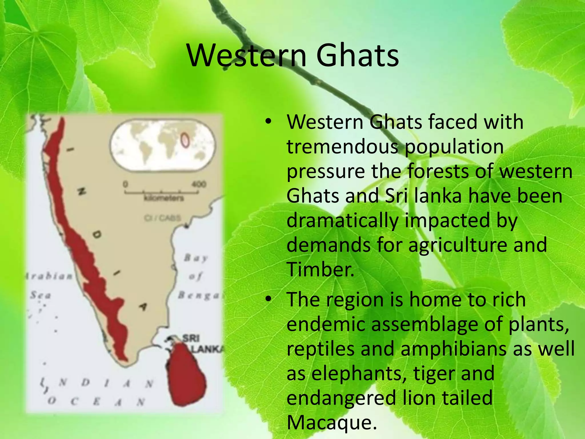 Western Ghats
• Western Ghats faced with
tremendous population
pressure the forests of western
Ghats and Sri lanka have been
dramatically impacted by
demands for agriculture and
Timber.
• The region is home to rich
endemic assemblage of plants,
reptiles and amphibians as well
as elephants, tiger and
endangered lion tailed
Macaque.
 