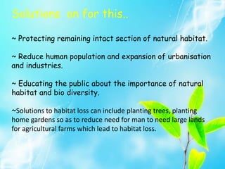Solutions on for this..
~ Protecting remaining intact section of natural habitat.
~ Reduce human population and expansion of urbanisation
and industries.
~ Educating the public about the importance of natural
habitat and bio diversity.
~Solutions to habitat loss can include planting trees, planting
home gardens so as to reduce need for man to need large lands
for agricultural farms which lead to habitat loss.
 