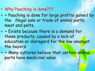• Why Poaching is done???
• ~ Poaching is done for large profits gained by
the illegal sale or trade of animal parts,
meat and pelts.
• ~ Exists because there is a demand for
these products, caused by a lack of
education or disregard for the law amongst
the buyers.
• ~ Many cultures believe that certain animal
parts have medicinal value.
 