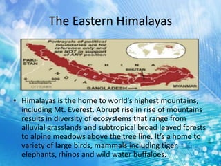 The Eastern Himalayas
• Himalayas is the home to world’s highest mountains,
including Mt. Everest. Abrupt rise in rise of mountains
results in diversity of ecosystems that range from
alluvial grasslands and subtropical broad leaved forests
to alpine meadows above the tree line. It’s a home to
variety of large birds, mammals including tiger,
elephants, rhinos and wild water buffaloes.
 