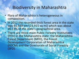 Biodiversity in Maharashtra
• Flora of Maharashtra is heterogeneous in
composition.
• In 2012 the recorded thick forest area in the state
was 61,939 km2(23,915 sq mi) which was about
20.13% of the state's geographical area.
• There are three main Public Forestry Institutions
(PFIs) in the Maharashtra state: the Maharashtra
Forest Department (MFD), the Forest
Development Corporation of Maharashtra
(FDCM) and the Directorate of Social Forestry
(SFD).
 