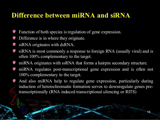 mirna sirna sirna vs mirna