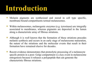  Melanin pigments are synthesized and stored in cell type specific,
membrane-bound compartments termed melanosomes.
 Wit...