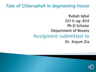 Fate of Chlorophyll in degreening tissue
Rubab Iqbal
2014-ag-834
Ph.D Scholar
Department of Botany
Assigment submitted to
Dr. Anjum Zia
 