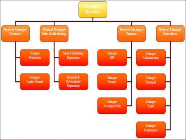 Organizational Chart Of Coca Cola Company With Names