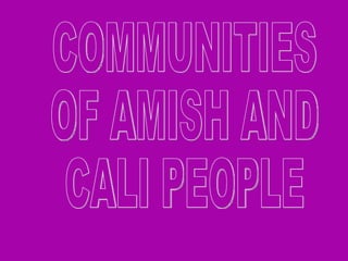 COMMUNITIES  OF AMISH AND  CALI PEOPLE 
