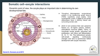 Presentation of cumulus cells and follicular fluid are oocyte quality ...