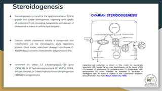 Presentation of cumulus cells and follicular fluid are oocyte quality ...
