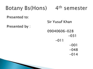 Presented to:
                 Sir Yusuf Khan
Presented by :
                 09040606-028
                           -031
                     -011
                            -001
                            -048
                            -014
 