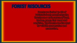 FOREST RESOURCES
Forests are limited to 4% of
Pakistan’s land; nonetheless the
forests are a main source of food,
lumber, paper, fuel wood and
medicine. The forests are also used
for wildlife conversation and
ecotourism.
 