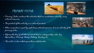 • Primary Sector contains the activities that are undertaken directly using
natural resources.
• The product of this activity is a natural product.
• When we produce a good by exploiting natural resources, it is an activity of the
primary sector.
• It forms the base of all other products that we subsequently make. E.g.
Agriculture, Mining, Dairy, Fishing, Forestry etc.
• This sector is also called agriculture related sector.
PRIMARY SECTOR
 