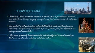 • Secondary Sector covers the activities in which natural products are changed
into other forms through ways of manufacturing that we associate with industrial
activity.
• The product is not produced by nature but has to be made and therefore some
process of manufacturing is essential. E.g. using cotton fiber from the plant, we
spin yarn and weave cloth.
• This sector gradually become associated with the different kinds of industries
that came up, it is also called as industrial sector.
SECONDARY SECTOR
 