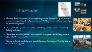 • Tertiary Sector covers the activities that help in the development of the primary
and secondary sectors, do not produce a good but they are an aid or a support for
the production process.
• Transport, Storage, Communication, Banking, Trade are some examples of
tertiary activities.
• Since these activities generate services rather than goods, the tertiary sector is
also called the service sector.
• Service sector also includes some essential services that may not directly help in
the production of goods.
TERTIARY SECTOR
 