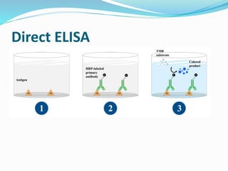 Presentation of elisa test | PPTX