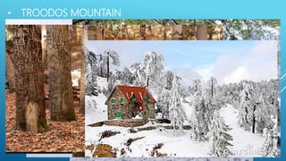 • TROODOS MOUNTAIN
 