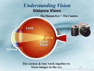 Understanding Vision
Cornea
Lens
Focal
Point
 