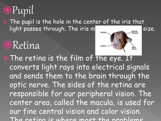 Pupil
 The pupil is the hole in the center of the iris that
light passes through. The iris muscles control its size.
Retina
 The retina is the film of the eye. It
converts light rays into electrical signals
and sends them to the brain through the
optic nerve. The sides of the retina are
responsible for our peripheral vision. The
center area, called the macula, is used for
our fine central vision and color vision.
 