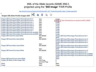 XML of the Allele records
projected using the “descriptive” FAIR Profile
http://biordf.org/cgi-bin/DataFairPort/DragonDB_LDF_Profiler/DragonDB_Allele_ProfileAlleleDescriptions/
 