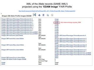 XML of the Allele records (SAME XML!)
projected using the “SIO Image” FAIR Profile
http://biordf.org/cgi-bin/DataFairPort/DragonDB_LDF_Profiler/DragonDB_Allele_ProfileImagesSIO/
http://semanticscience.org/resource/SIO_000081
 