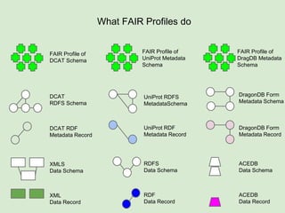 XML
Data Record
XMLS
Data Schema
DCAT RDF
Metadata Record
RDF
Data Record
RDFS
Data Schema
UniProt RDF
Metadata Record
ACEDB
Data Record
ACEDB
Data Schema
DragonDB Form
Metadata Record
DCAT
RDFS Schema
UniProt RDFS
MetadataSchema
DragonDB Form
Metadata Schema
What FAIR Profiles do
 