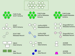 XML
Data Record
XMLS
Data Schema
DCAT RDF
Metadata Record
RDF
Data Record
RDFS
Data Schema
UniProt RDF
Metadata Record
ACEDB
Data Record
ACEDB
Data Schema
DragonDB Form
Metadata Record
DCAT
RDFS Schema
UniProt RDFS
MetadataSchema
DragonDB Form
Metadata Schema
FAIR Profile
DCAT Schema
FAIR Profile
UniProt Metadata
Schema
FAIR Profile
DragDB Metadata
Schema
Though they are potentially describing very different things
(from Web FORM fields to OWL Ontologies!)
all FAIR Profiles are written using the same vocabulary and structure, defined by...
 