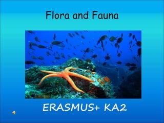 Flora and Fauna
ERASMUS+ KΑ2
 