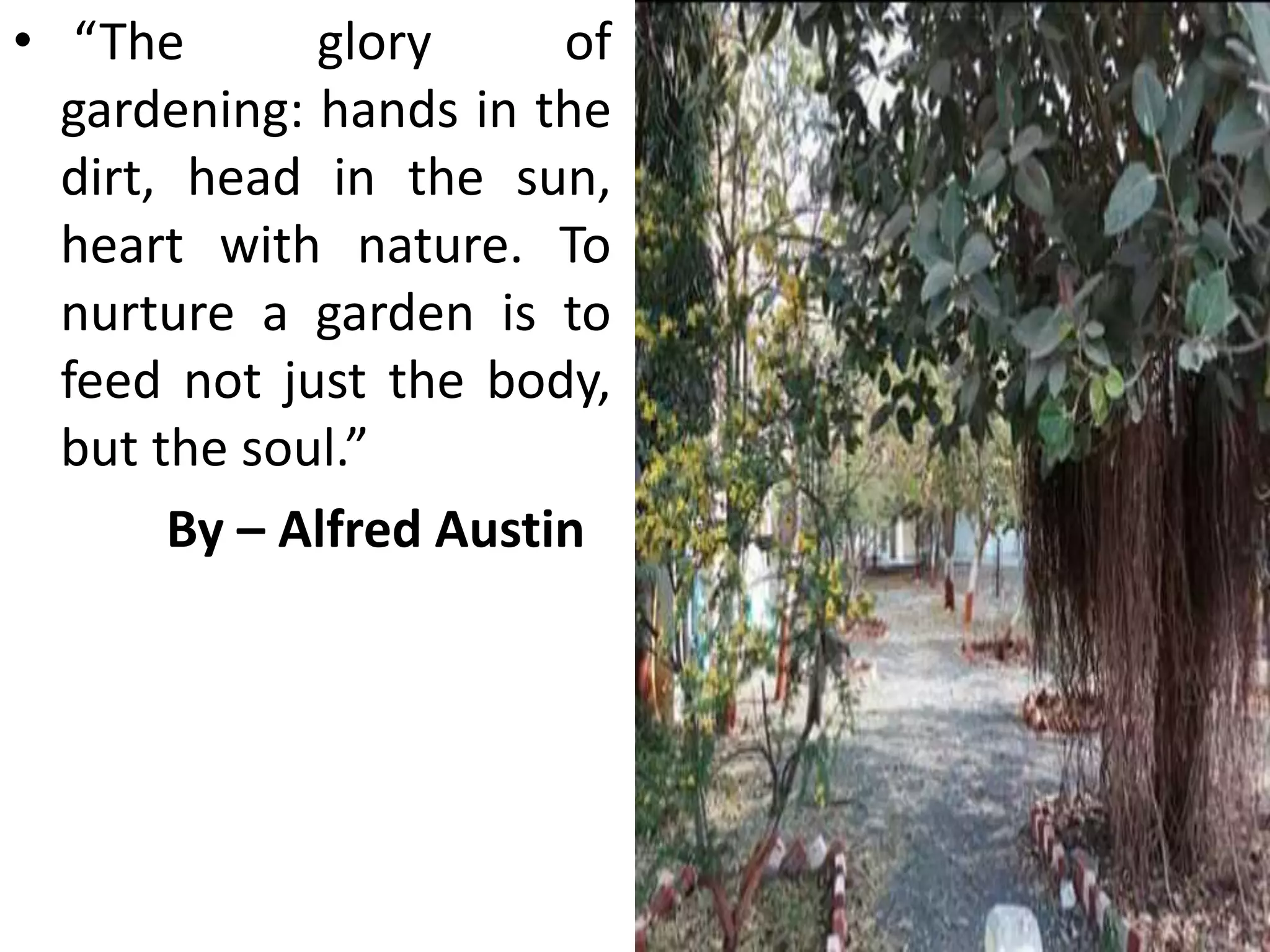 • “The glory of
gardening: hands in the
dirt, head in the sun,
heart with nature. To
nurture a garden is to
feed not just the body,
but the soul.”
By – Alfred Austin