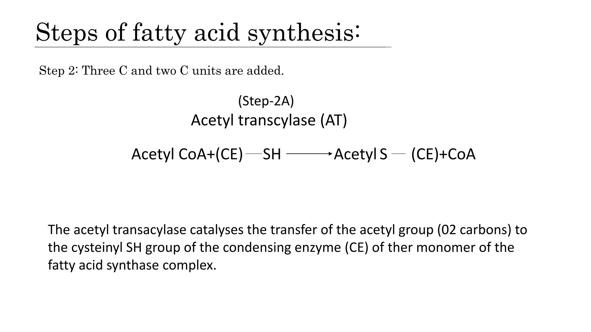 Steps of fatty acid synthesis:
Step 2: Three C and two C units are added.
(Step-2A)
Acetyl transcylase (AT)
Acetyl CoA+(CE) SH AcetylS (CE)+CoA
The acetyl transacylase catalyses the transfer of the acetyl group (02 carbons) to
the cysteinyl SH group of the condensing enzyme (CE) of ther monomer of the
fatty acid synthase complex.
 