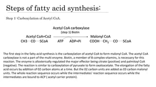 Steps of fatty acid synthesis:
Step 1: Carboxylation of Acetyl CoA.
Acetyl CoA carboxylase
(step 1) Biotin
Acetyl CoA+Co2 Malonyl CoA
CH3 CO SCoA ATP ADP+Pi COOH CH3 CO SCoA
The first step in the fatty acid synthesis is the carboxylation of acetyl CoA to form malonyl CoA. The acetyl CoA
carboxylase is not a part of the multi enzyme. Biotin, a member of B complex vitamins, is necessary for this
reaction. The enzyme is allosterically regulated the major effector being citrate (positive) and palmitoyl CoA
(negative). The reaction is similar to carboxylation of pyruvate to form oxaloacetate. The elongation of the fatty
acid occurs by addition of 02 carbon atoms at a time. But the 02 carbon units are added as 03 carbon malonyl
units. The whole reaction sequence occurs while the intermediates' reaction sequence occurs while the
intermediates are bound to ACP ( acetyl carrier protein).
 