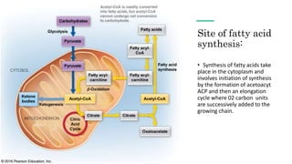 Site of fatty acid
synthesis:
• Synthesis of fatty acids take
place in the cytoplasm and
involves initiation of synthesis
by the formation of acetoacyt
ACP and then an elongation
cycle where 02 carbon units
are successively added to the
growing chain.
 