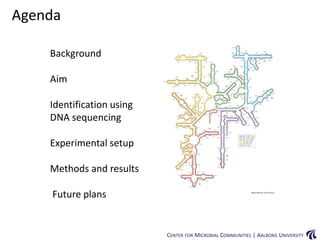 CENTER FOR MICROBIAL COMMUNITIES | AALBORG UNIVERSITY
Background
Aim
Identification using
DNA sequencing
Experimental setup
Methods and results
Future plans
Agenda
 