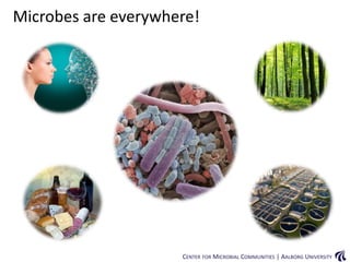 CENTER FOR MICROBIAL COMMUNITIES | AALBORG UNIVERSITY
Microbes are everywhere!
 
