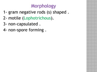 Motile Rods presentation of micrbiology 1_١٠٢٦٥٧.pptx