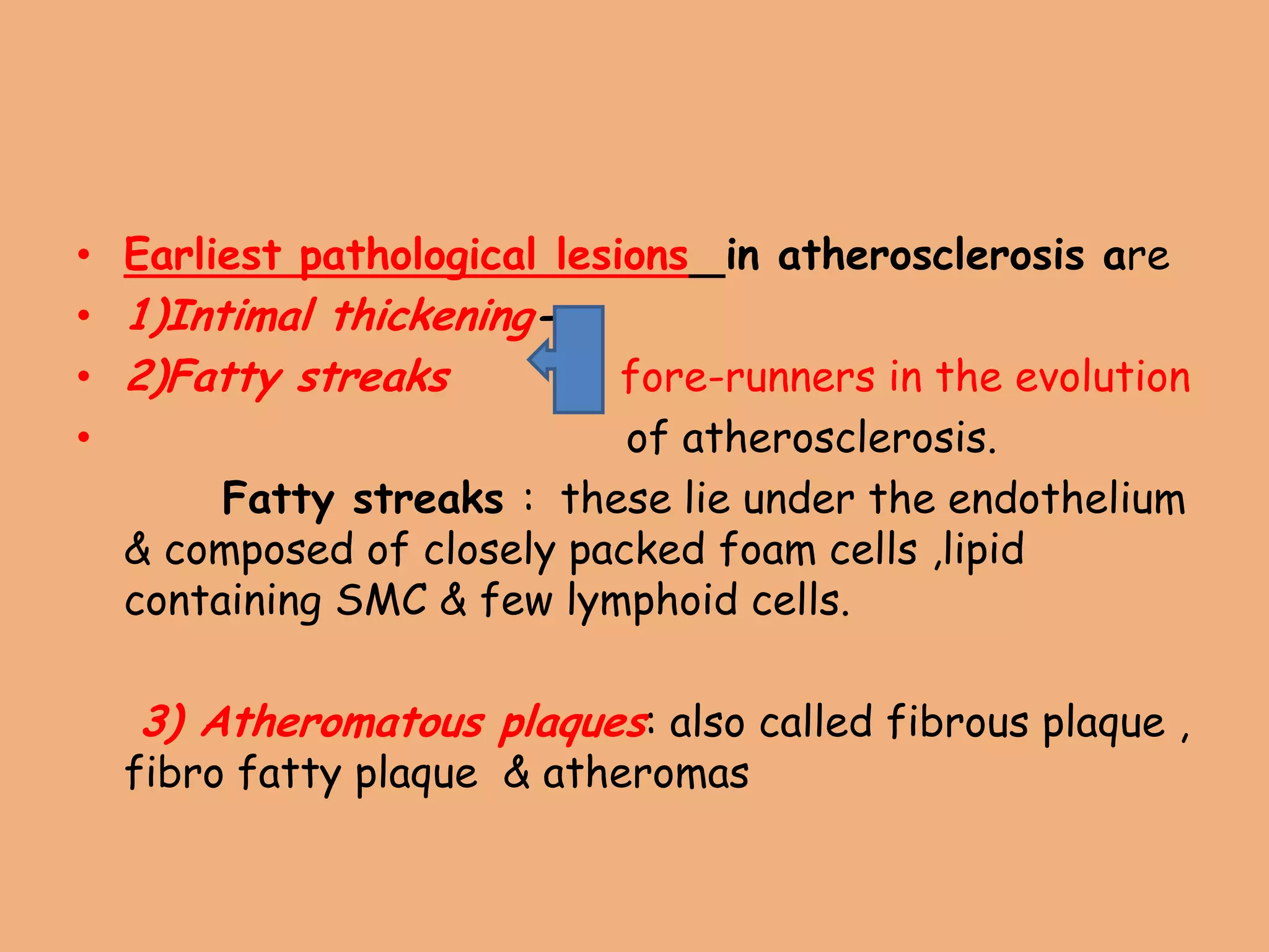 • Earliest pathological lesions in atherosclerosis are
• 1)Intimal thickening-
• 2)Fatty streaks fore-runners in the evolution
• of atherosclerosis.
Fatty streaks : these lie under the endothelium
& composed of closely packed foam cells ,lipid
containing SMC & few lymphoid cells.
3) Atheromatous plaques: also called fibrous plaque ,
fibro fatty plaque & atheromas
 