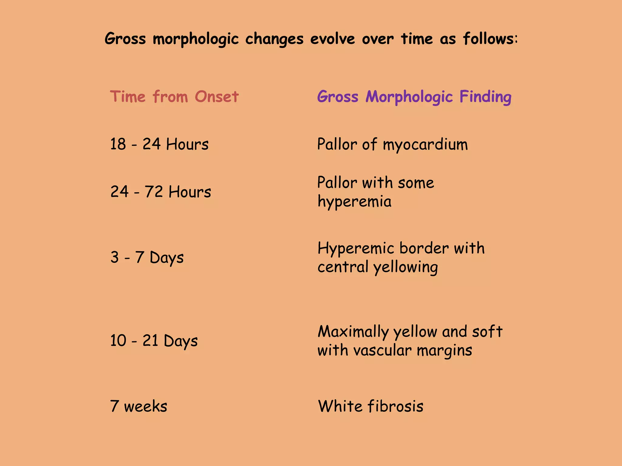 Time from Onset Gross Morphologic Finding
18 - 24 Hours Pallor of myocardium
24 - 72 Hours
Pallor with some
hyperemia
3 - 7 Days
Hyperemic border with
central yellowing
10 - 21 Days
Maximally yellow and soft
with vascular margins
7 weeks White fibrosis
Gross morphologic changes evolve over time as follows:
 