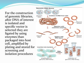 Presentation of Molecular Cloning.pptx