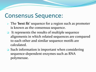 Consensus Sequence Example Presentation of Molecular Cloning.pptx