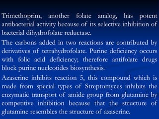 نسخة Presentation of nucleic acids.pptxت | PPTX