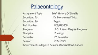 Palaeontology
Assignment Topic Brief History Of Siwaliks
Submitted To Dr. Muhammad Tariq
Submitted By Tayyab
Roll Number 869/023808
Program B.S. 4 Years Degree Program
Discipline Zoology
Semester 7th Semester
Session 2017-2021
Government College Of Science Wahdat Road, Lahore
 