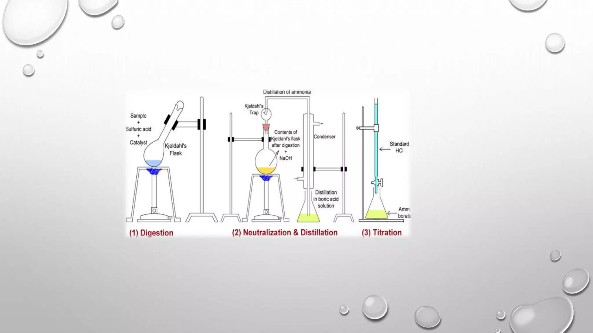 Presentation of pharmaceutical analysis on kjeldhal method of nitrogen estimation PPT